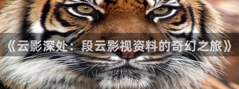 飘雪影院在线观看完整高清