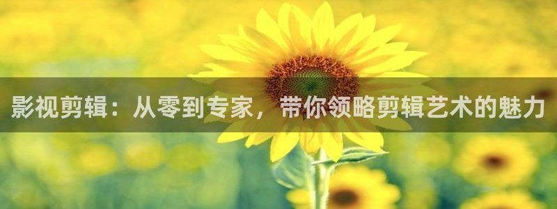飘雪影院完整版