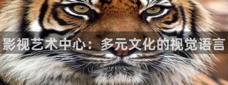 飘雪影院电影在线观看